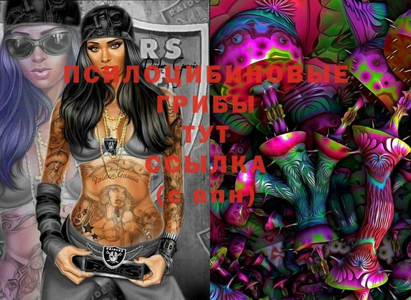 гидропоника Нягань