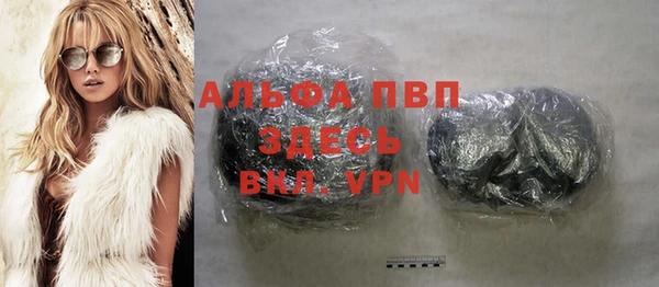 шишки Осинники